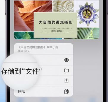 上甘岭apple维修中心分享iPhone文件应用中存储和找到下载文件