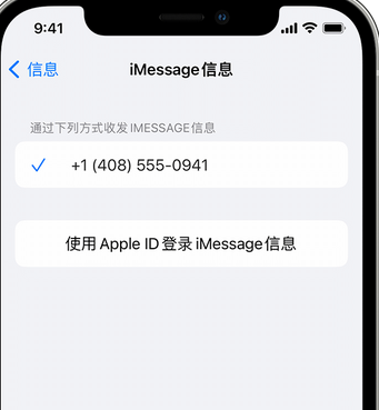 上甘岭apple维修iPhone上无法正常发送iMessage信息 