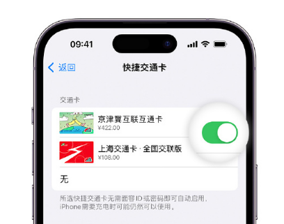 上甘岭apple维修点分享iPhone上更换Apple Pay快捷交通卡手绘卡面 