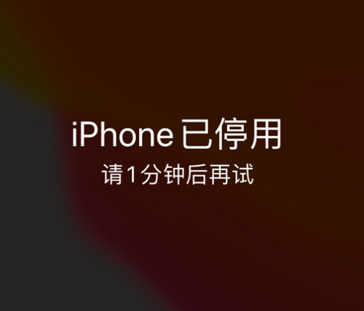 上甘岭苹果手机维修分享:iPhone 显示“不可用”或“已停用”怎么办？还能保留数据吗？ 