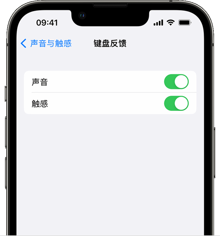 上甘岭苹果14维修店分享如何在 iPhone 14 机型中使用触感键盘 