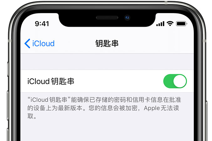 上甘岭苹果手机维修分享在 iPhone 上开启 iCloud 钥匙串之后会储存哪些信息 