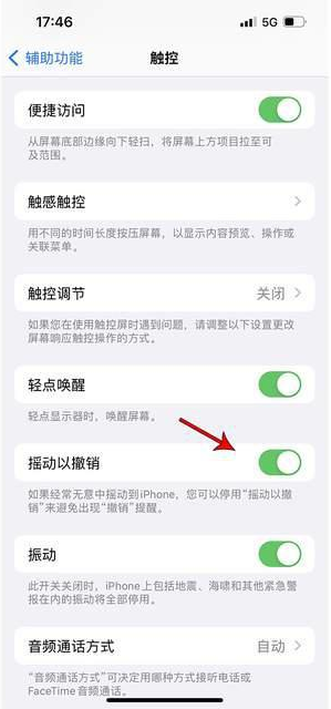 上甘岭苹果手机维修分享iPhone手机如何设置摇一摇删除文字 