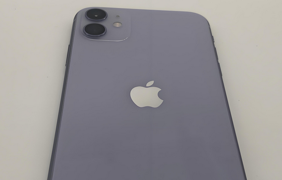 上甘岭苹果11系统维修分享iPhone11手机系统崩溃无法开机如何解决 